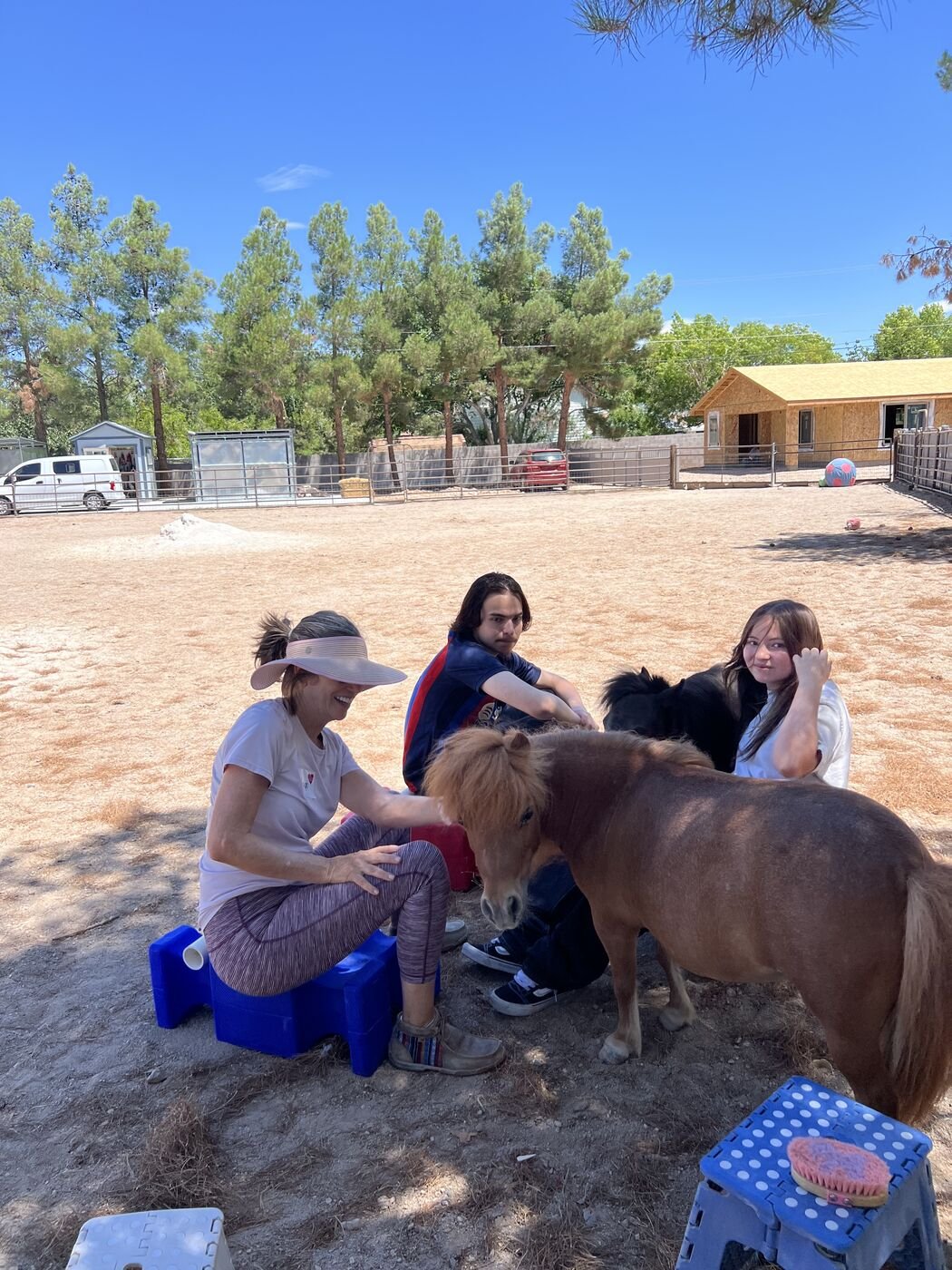A mother and her children brushing Scarlet at the paddock