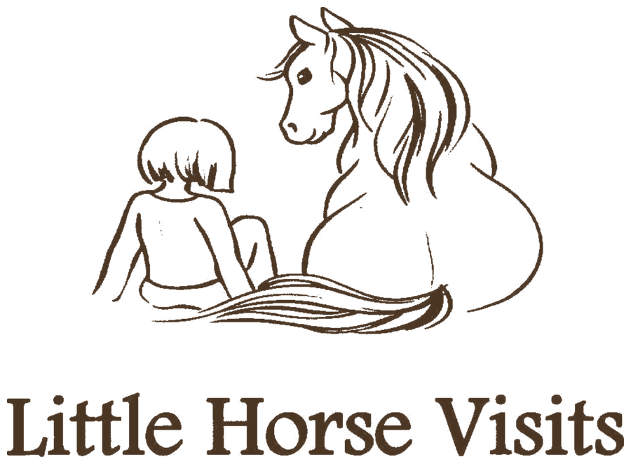 Little Horse Visits logo: a child resting beside a miniature horse